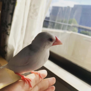 日光浴☀️