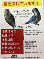 少し前の写真ですが、全体的にこういう感じです。寒いし雨も降るので心配です。温かいところにいてくれていることを願います(T ^ T)