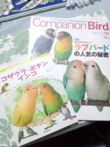 写真やイラストがふんだんで素敵本です！！