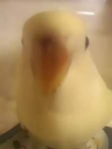 近すぎです。