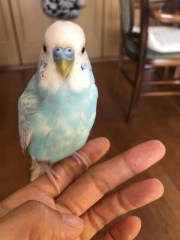 まだ幼い感じで体は小柄です