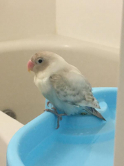 5/26ぐらいに撮った1番最新の写真です