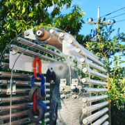 ある日の日向ぼっこ