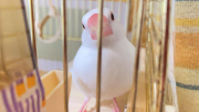 正面