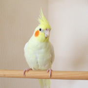 5月撮影