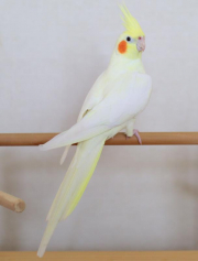 7/11撮影の最新のものです