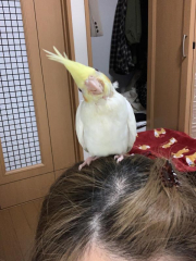 お気に入りの1枚です😍
