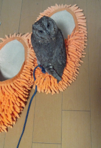 ここも好き