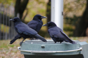 一瞬、こんなオブジェかと