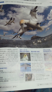 WOWOWより　