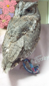 胸元で顔にくっついて甘えます