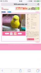 レモンちゃん