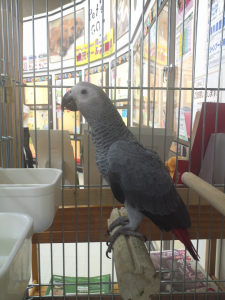 やっと全身が写せた!!