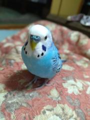 ありがとう　ありがとう　ありがとう　ありがとう　ありがとう