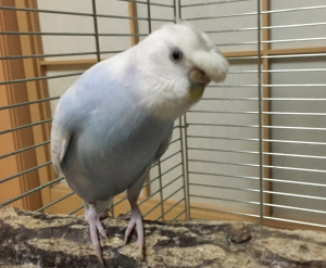 がんばってね〜♪　　　てん