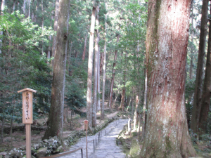 那智の滝に降りる参道です