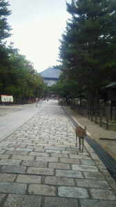 東大寺参道にて