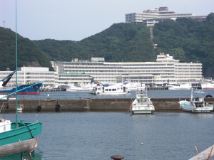 向こうが「ホテル浦島」