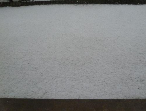 11時頃芝生の上に積もりました。