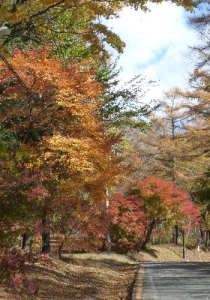 榛名山の紅葉