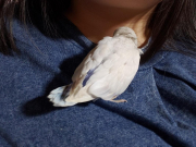 こちらも怪我する前です！