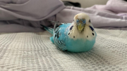 今現在の状態