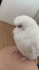 今