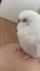 今
