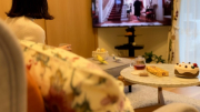 愛鳥とクリスマス映画鑑賞を。