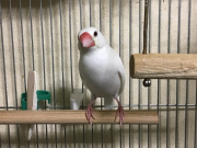 体調不良前日　この時はもう苦しかったのかな