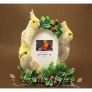 オカメインコ（Ｍサイズ)も再入荷