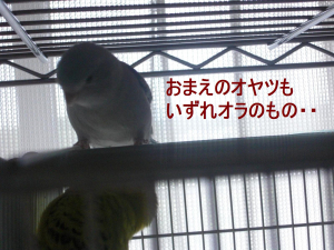 この悪い顔・・。