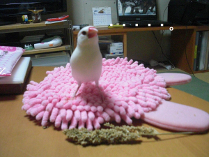 はいよ、アンタはジルバさんね・・・。