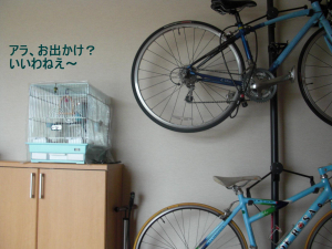 自転車置場のみずちゃんです。