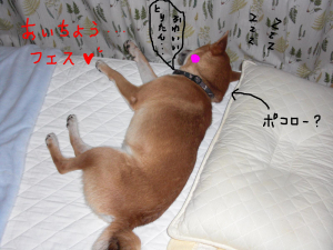 おやすみ〜zzz・・