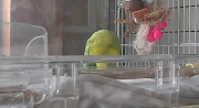 寝姿です、頭が下を向いてます