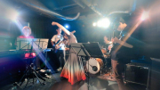 ライブの写真です。文鳥は在宅勤務です。