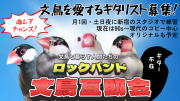 メンバーの文鳥たちです