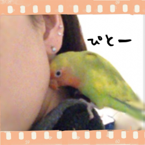 離れないでち