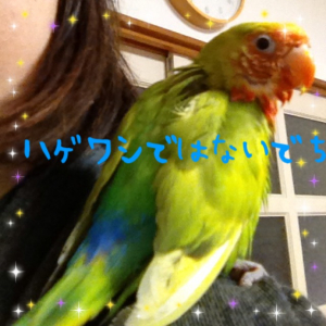 もっと水浴びしたいでち