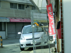 そら君の出迎えに感動です