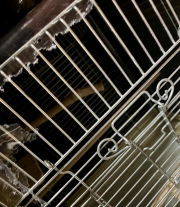 こんな感じで綺麗にちぎります