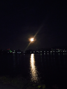 昨夜でも今夜でも無く今朝の月(笑)