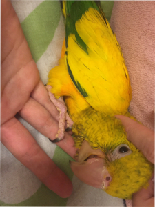 気持ちよさそう