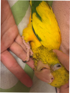 だんだん眠くなる