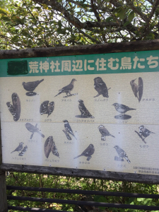 荒神さんの野鳥達です