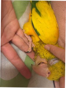 ついに寝ちゃった