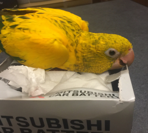 ええ顔してる