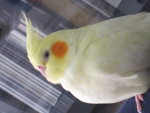 ねむねむなっちゃんです。