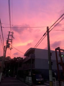 久しぶりの綺麗な夕焼けでした